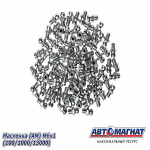 Масленка М 6*1  АВТОМАГНАТ  (в упак 100) AM-18-004