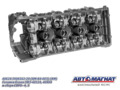 Головка блока 40624.3906562-20 дв.ЗМЗ-40524, 40904 ЕВРО-4,5  АИ-92/газ с клапан. AM-84-007 АМ