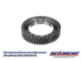 Шестерня КАМАЗ ведомая цилиндрическая 50 зубьев 5320-2402120-20    AM-55-328