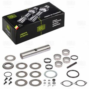 Р/к поворотного кулака TRIALLI для а/м КамАЗ 53205 ЕВРО (кмпл. 1 шкворень c подш.) (SH0721)